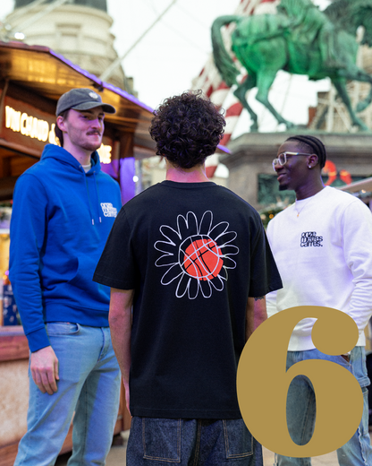 CASE 6 - COLLECTION OLB